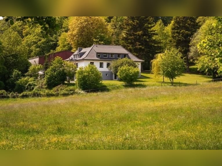 Rearing facilities & summer pasture for mares and foals from spring 2027
