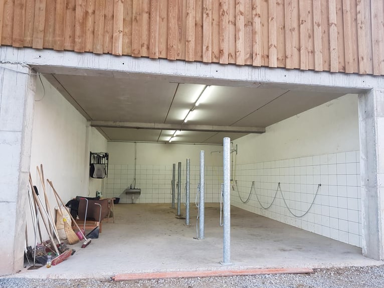 1 Offenstallplatz in Künzell ab April frei I Reithalle vorhanden