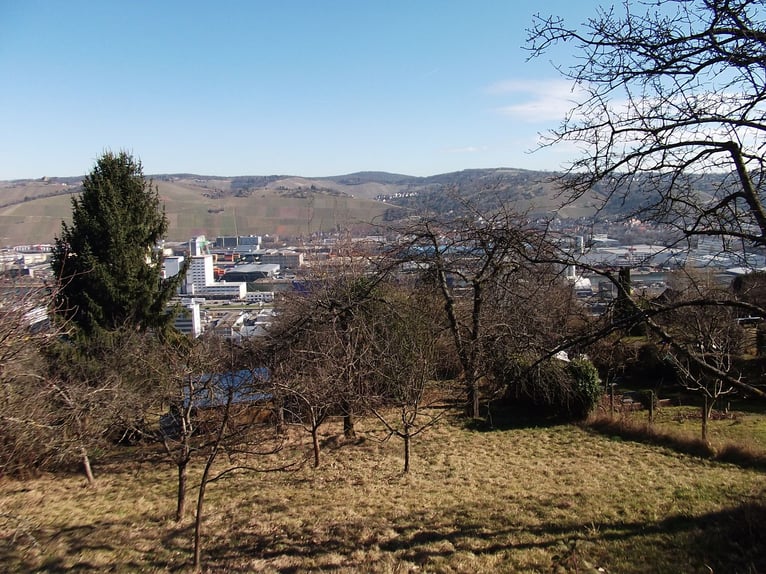 70329 Stuttgart-Hedelfingen (Alosenweg) Open stable space / pasture / shelter for pony or small hors