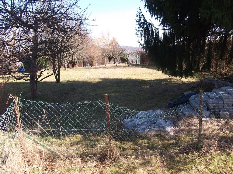70329 Stuttgart-Hedelfingen (Alosenweg) Open stable space / pasture / shelter for pony or small hors