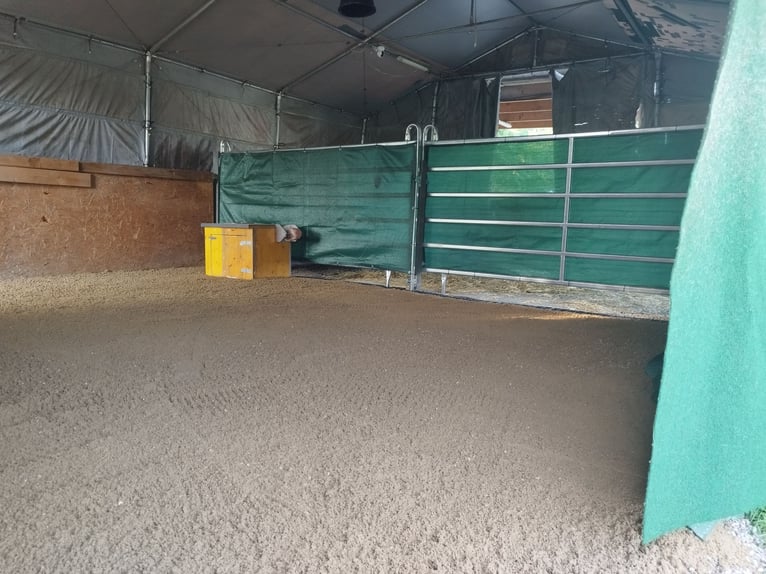 ...a place for your mare...