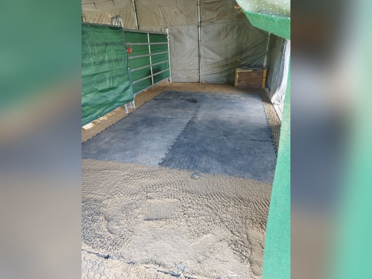 ...a place for your mare...