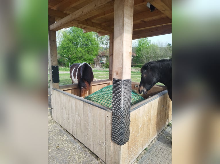 ...a place for your mare...