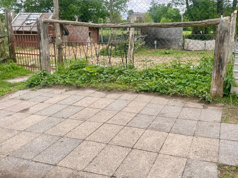 Artgerechte Pferdehaltung im Offenstall – Selbstversorger willkommen!