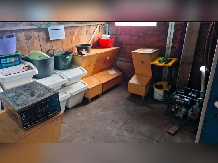 Available stable space in an open stable – suitable for horses with allergies or respiratory sensiti