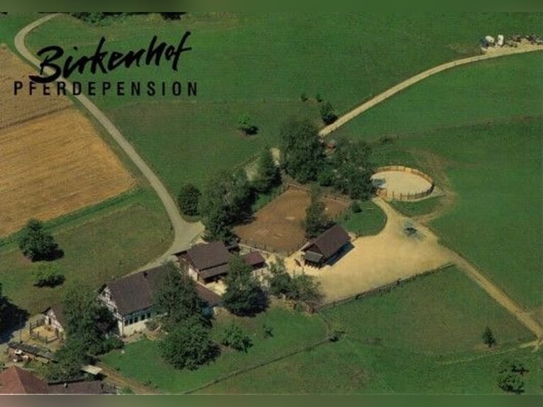 Birkenhof Pferdepension in Bachs