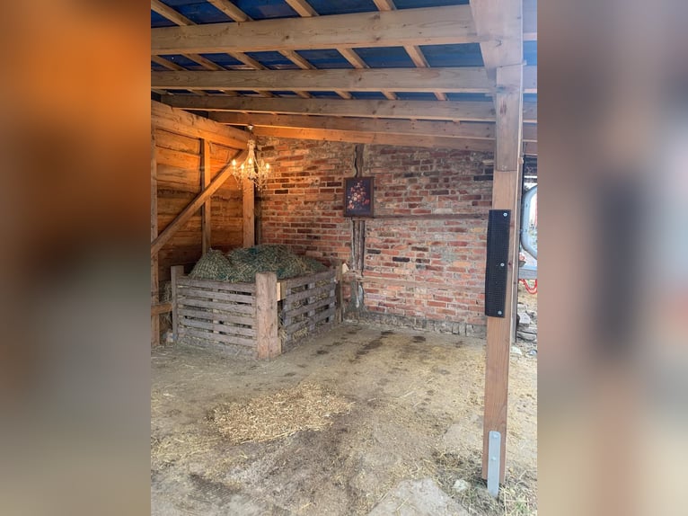Box in Offenstall