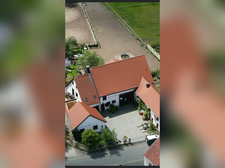Einstellplatz Offenstall Asthma COPD Herde Rentnerplatz