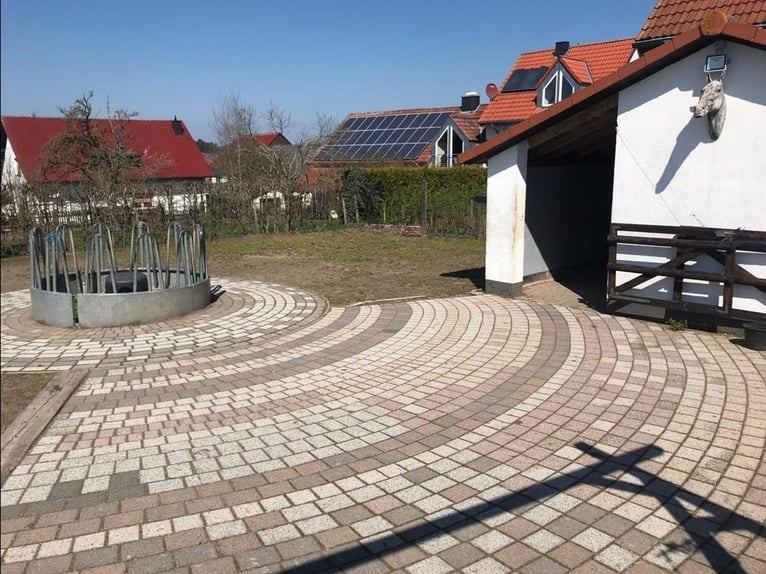 Einstellplatz Offenstall Asthma COPD Herde Rentnerplatz