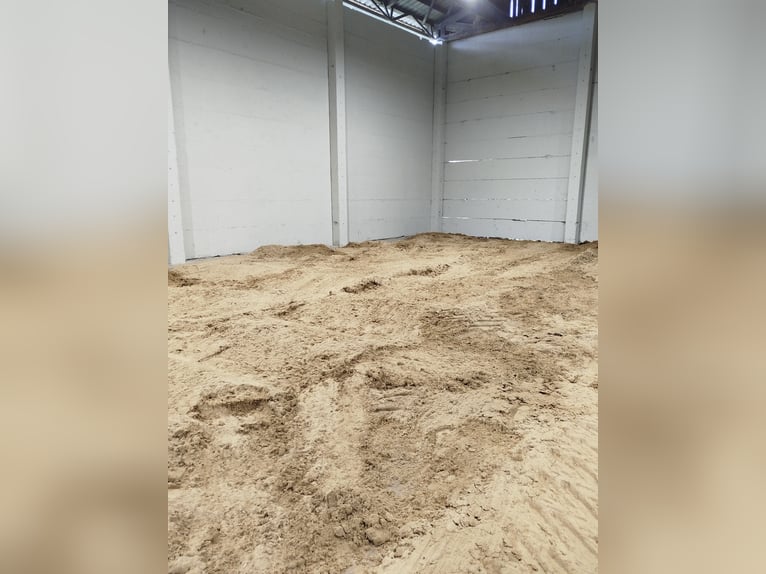Equestrian facility/stall block / free-range box stalls for lease