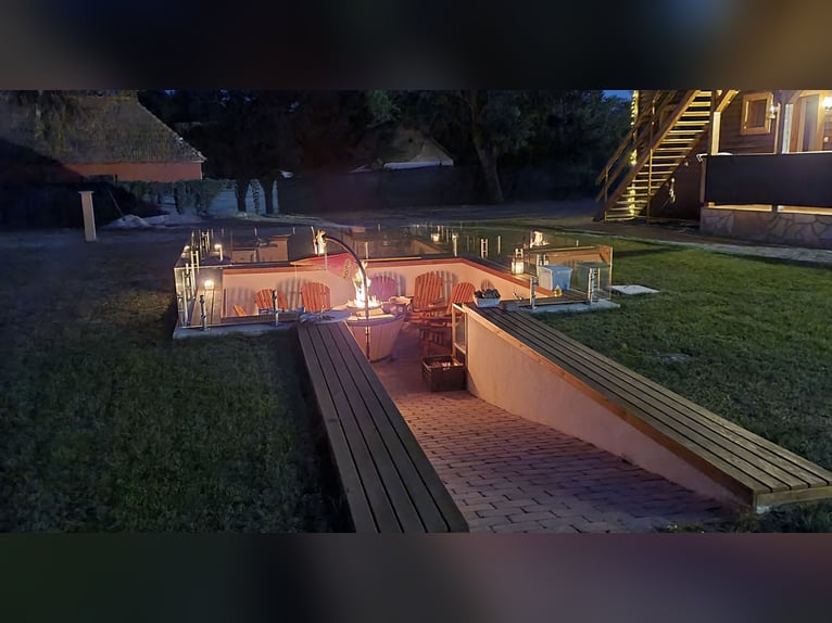 Freie Pferdeplätze auf der El Bronco Ranch (Ungarn)