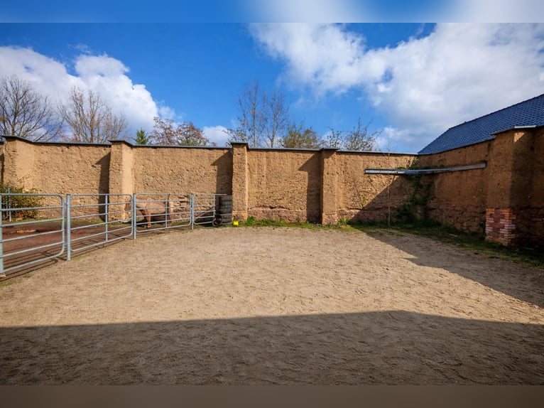 Idyllic Boarding Stable / Pasture Turnout Available