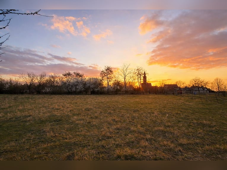 Idyllic Boarding Stable / Pasture Turnout Available