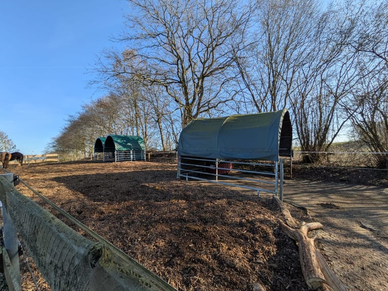 Livery space available – Pasture turnout – Looking for a boarder – Per horse