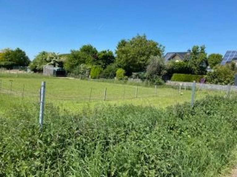 Offenstall : bezugsferige Anlage