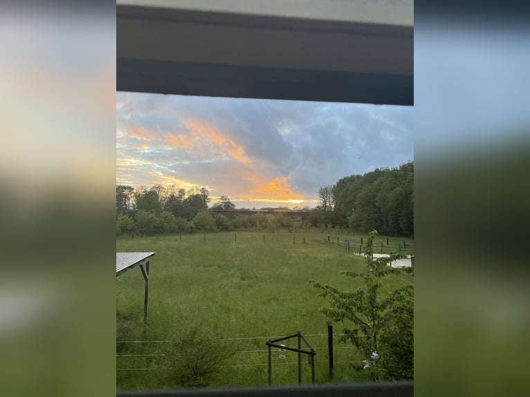 Offenstall in Hünxe/ Drevenack