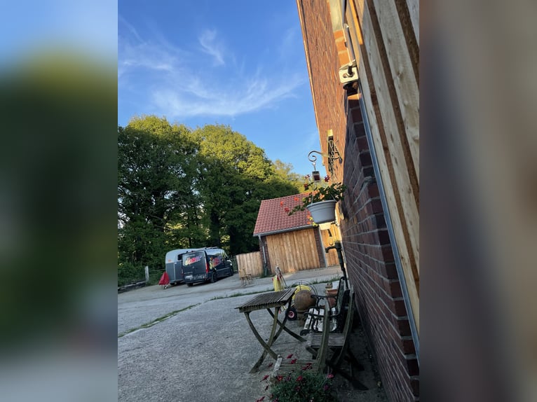 Offenstall in Hünxe/ Drevenack