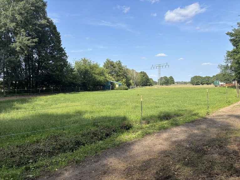 Offenstall in idyllischer Lage, max. 6 Pferde 