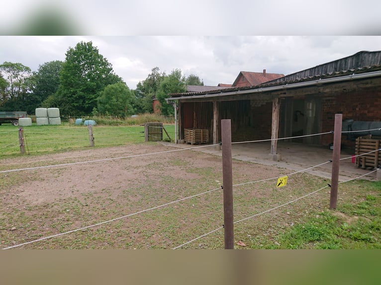 Offenstall-Platz Schaumburg