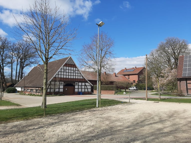 Offenstallplätze für Pferde frei, Belm bei Osnabrück