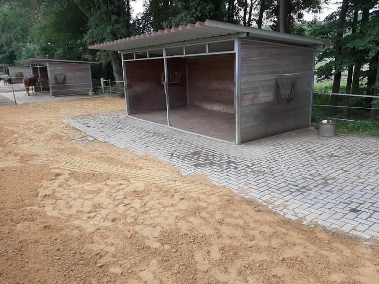 Offenstallplätze für Pferde frei, Belm bei Osnabrück