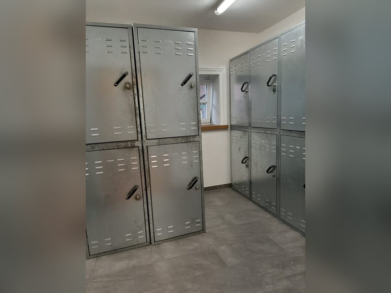 Offenstallplätze für Pferde frei, Belm bei Osnabrück