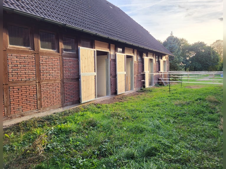 Open stable available for two small ponies.