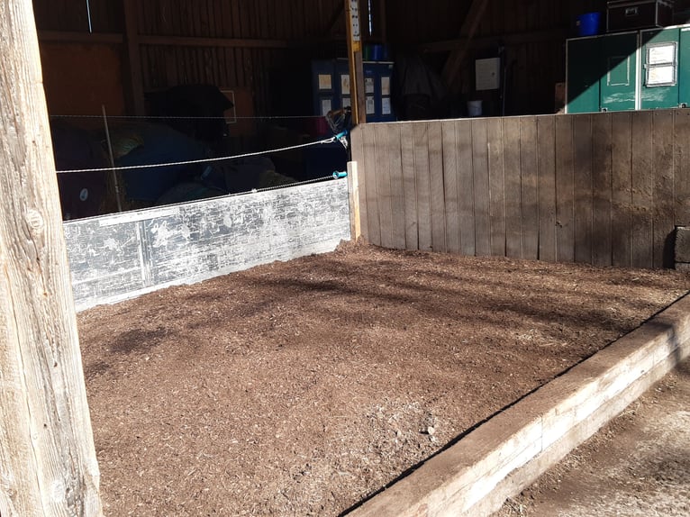 Open stable box available for self-managed housing for four horses from mid to late August!