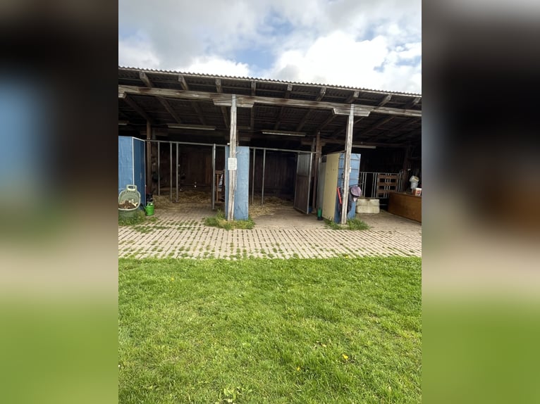 Open stable / box available, pasture, riding arena, covered round pen