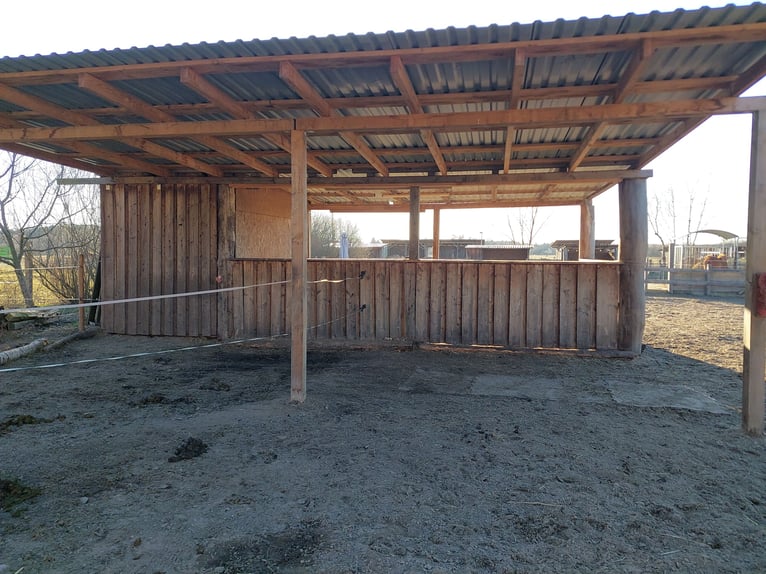 Open stable boxes available in Teltow