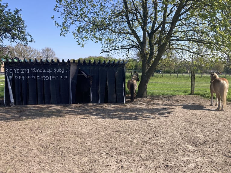 Open stable space available at the Horse Paradise in Dorsten (46282).