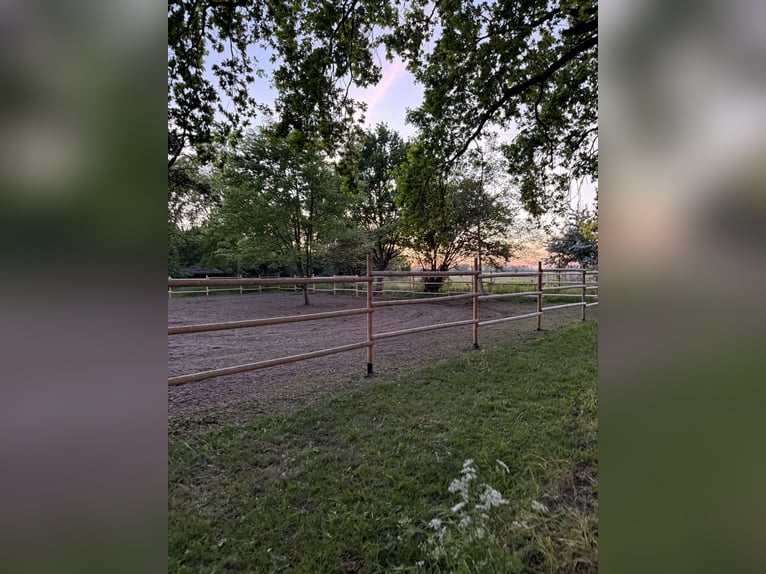 Open stable space available