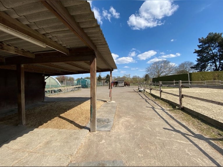 Open stable space available