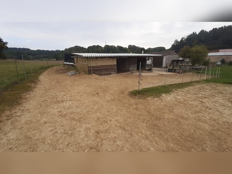 Open stable space available