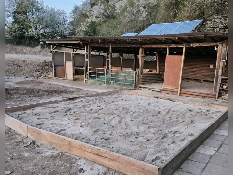 Open stable space available