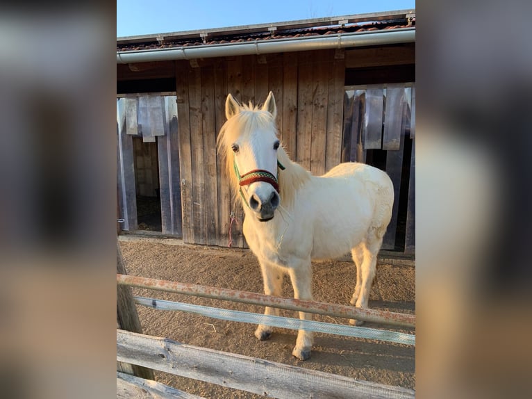 Open stable space available