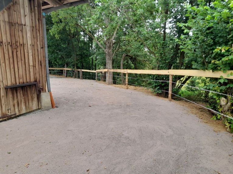 Open stable space available
