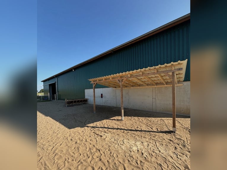 Open stable space available from the end of May