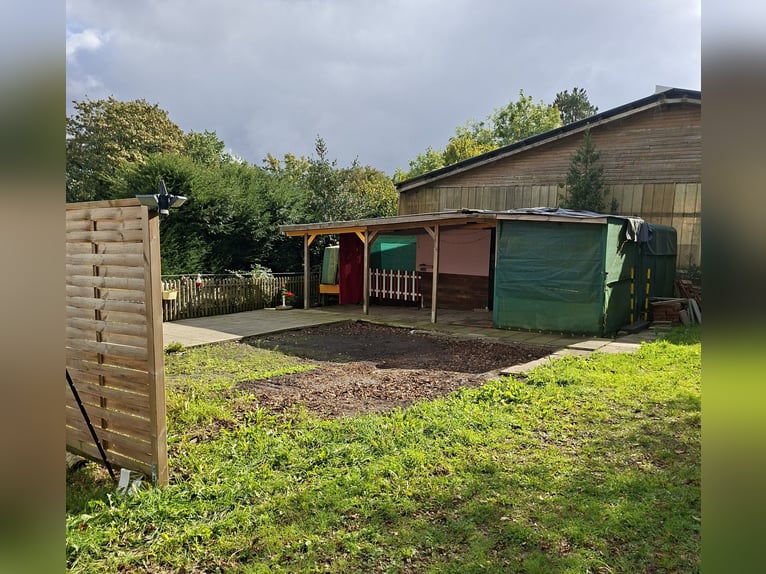 Open stable yard adjacent to indoor riding arena