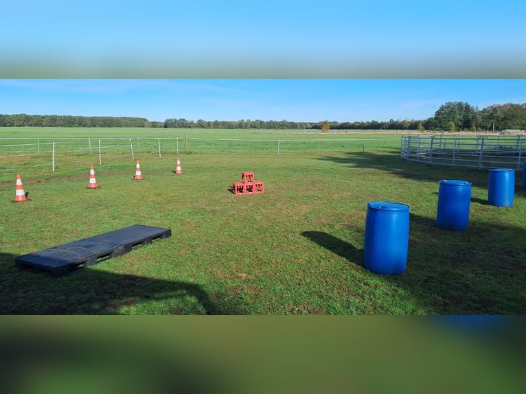 Paddock space available in a small private riding facility