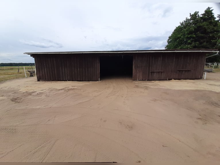 Paddock space available in a small private riding facility
