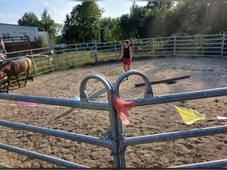 Pasture-based stable space