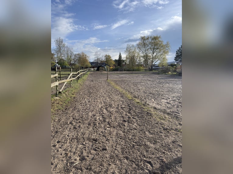 Pasture box for 1-2 mares