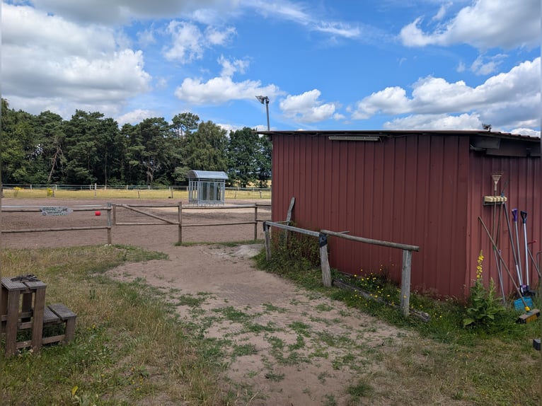 Pasture space available for a gelding in Otter, 21259