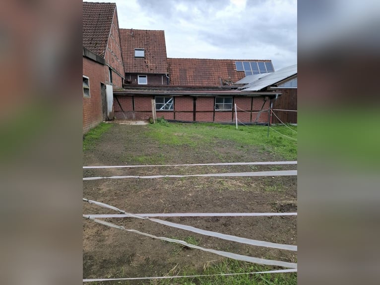 Pasture stall for 2 horses available for rent in Nordkirchen, 59394.