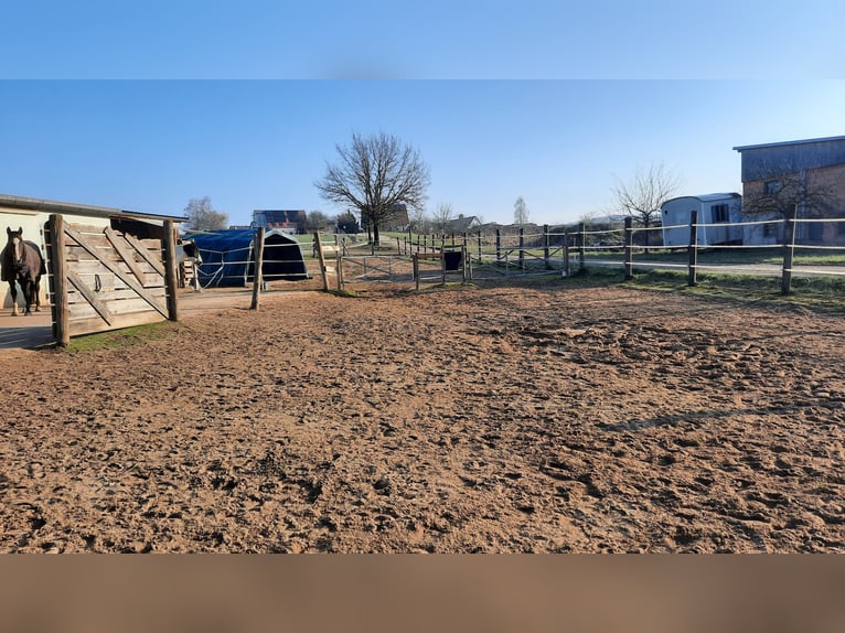 Pasture turnout