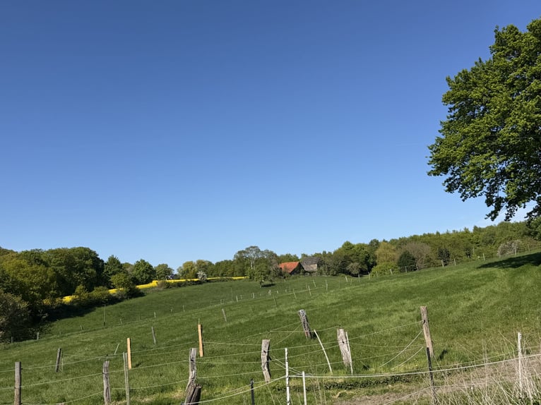 Pasture turnout stall