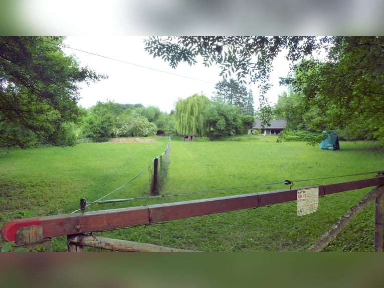 Pasture turnout with access to a paddock and a private box for the night