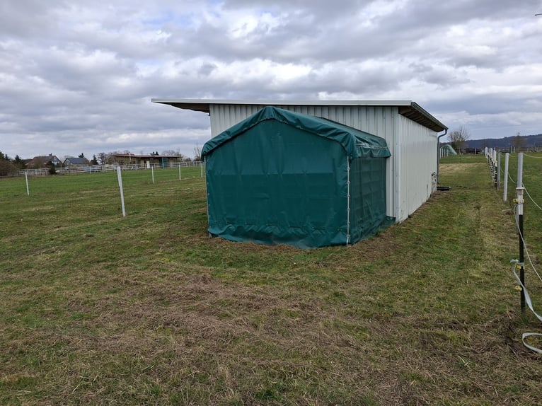 Plot of land with stable for 2 horses for sale in the Tierkoppelgebiet Stutensee-Spöck