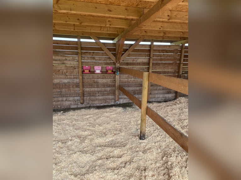 Private owner group – Self-sufficient herd